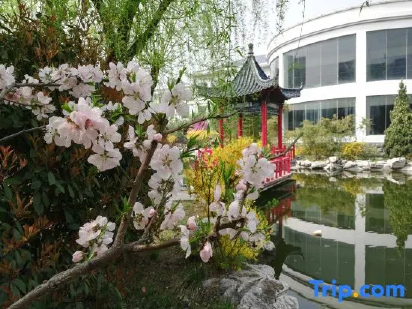 Yizhengyuan Hotel
