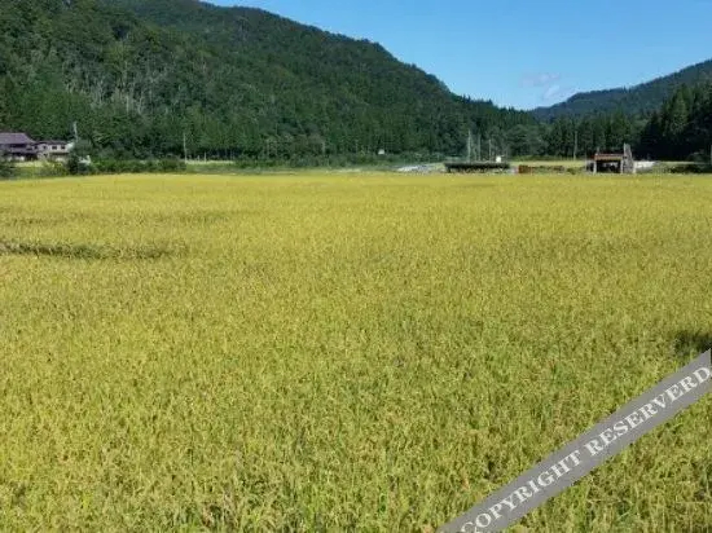 Tenjiku Onsennosato