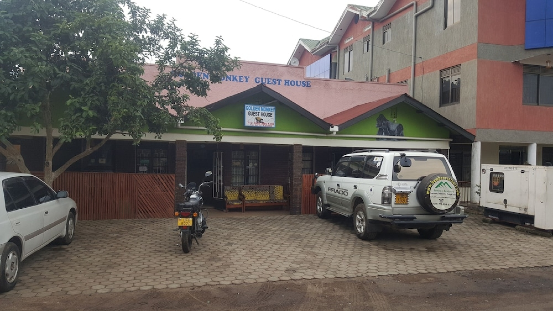 Golden Monkey Guest House