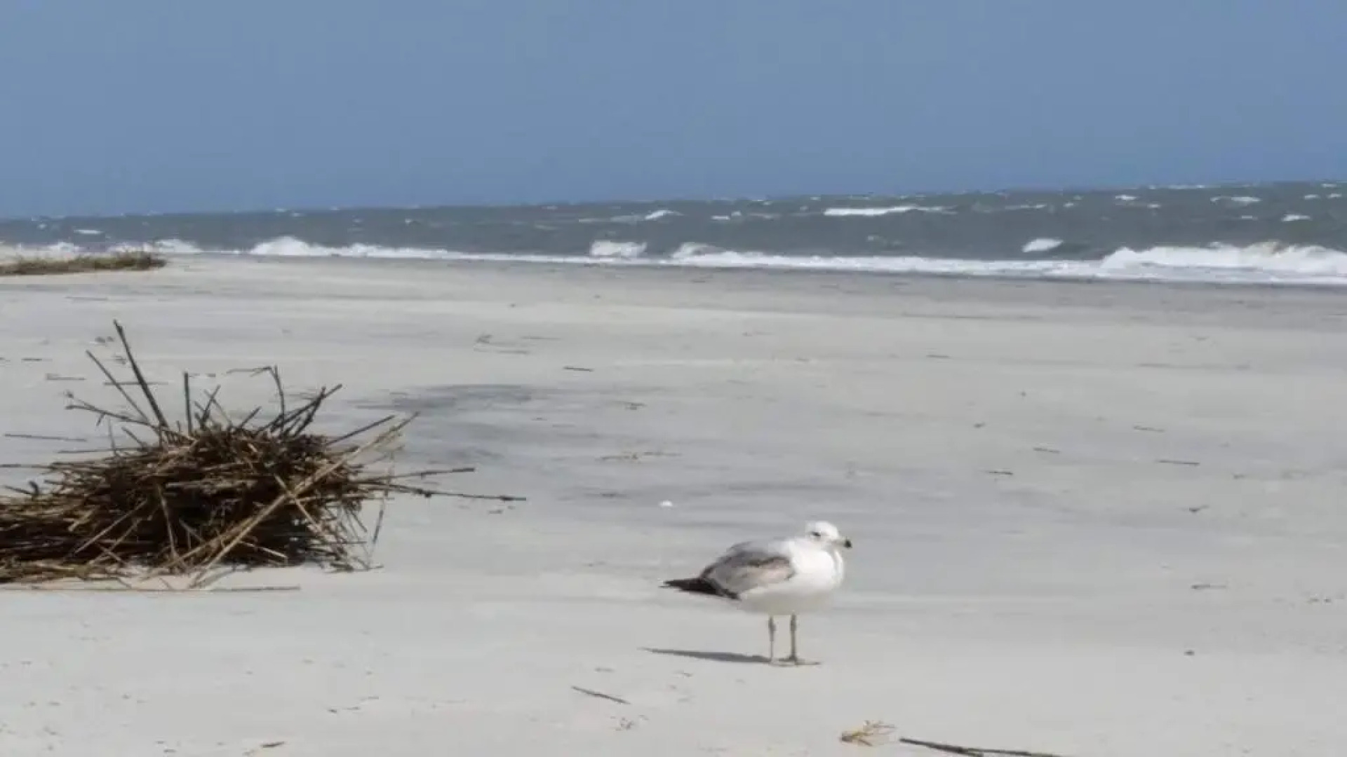 Elegant 3 BR Wild Dunes Villa *Golf *Htd. Pool*