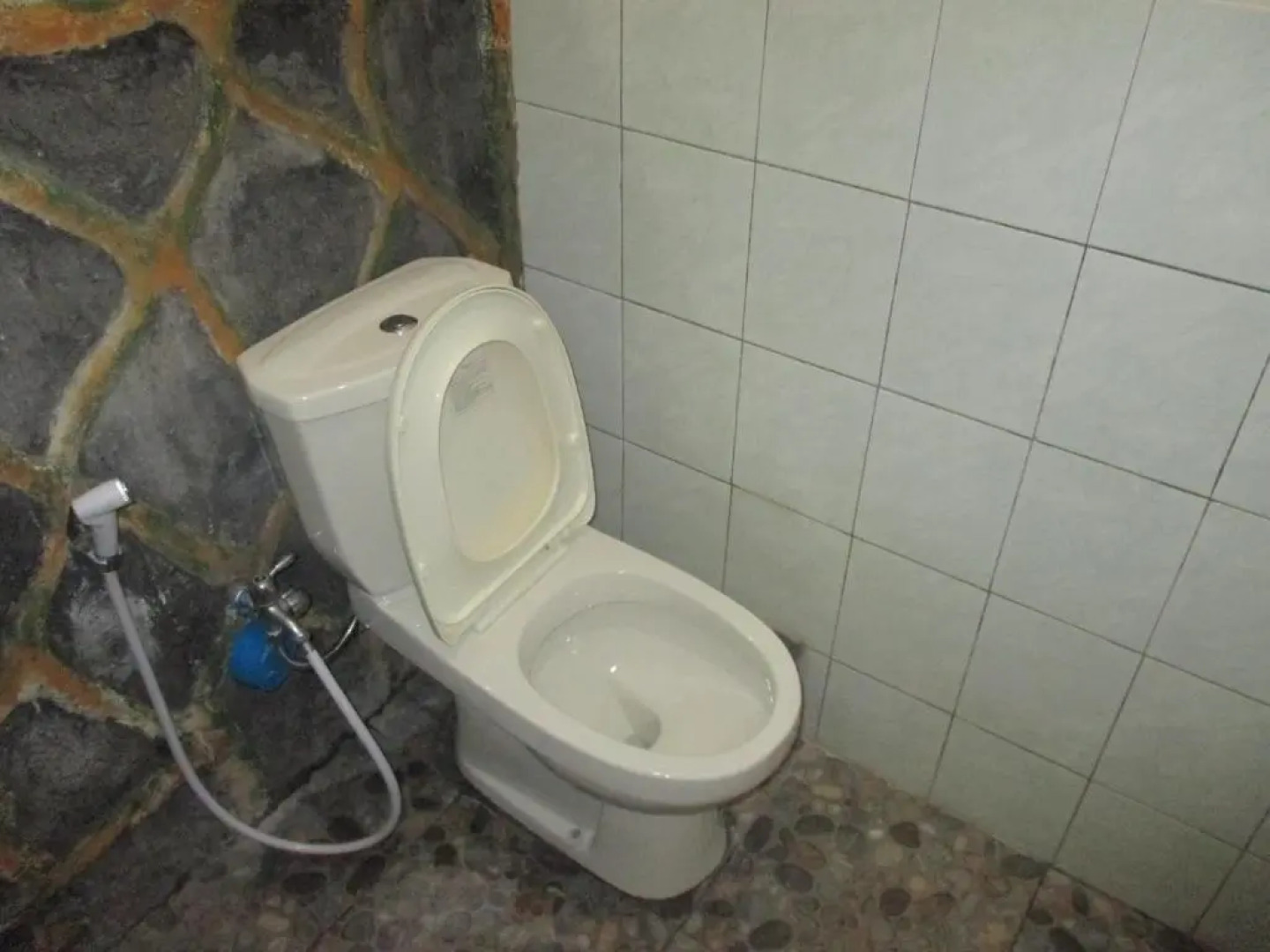 ESA di Kubu Homestay