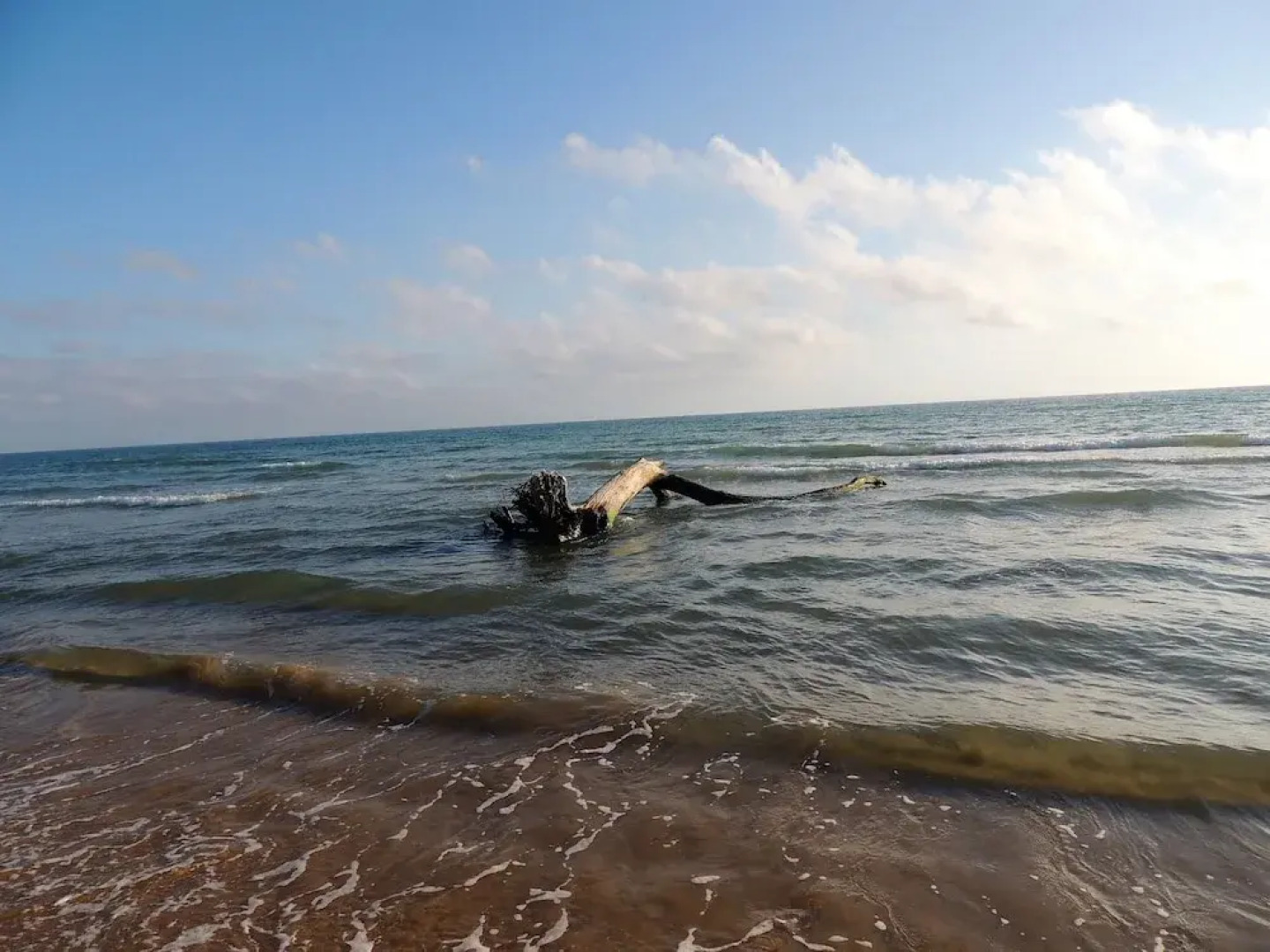 Eco-friendly Holiday Apartment Marina di Ragusa apt "il Gufo"