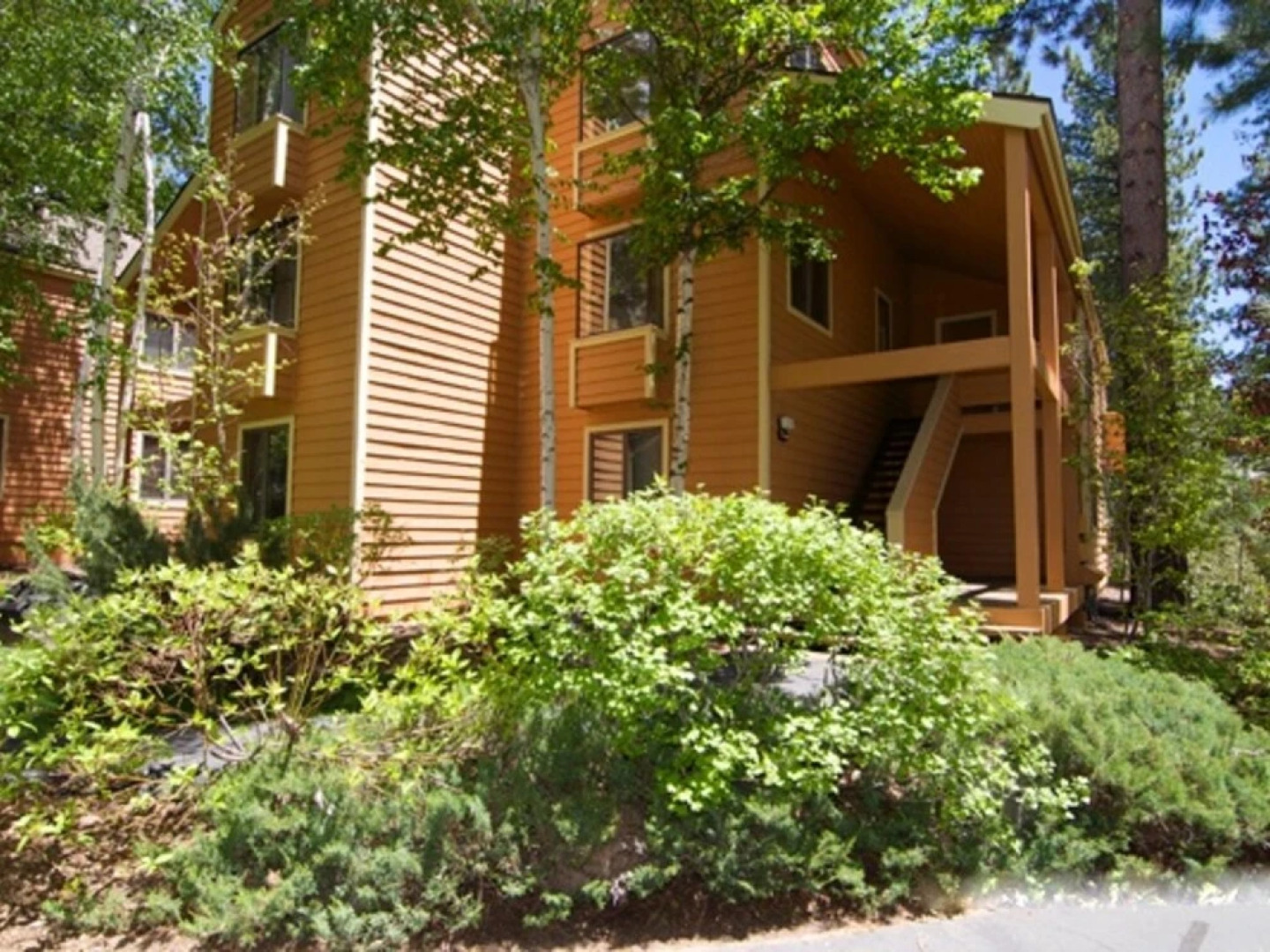 Premium McCloud Condo