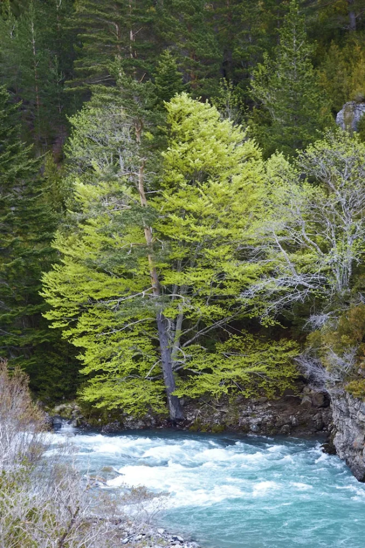 Refugio de Bujaruelo