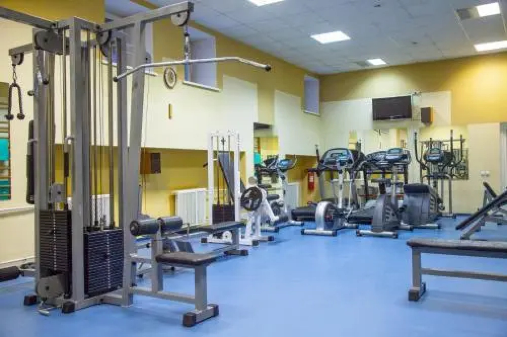 Южная Трибуна