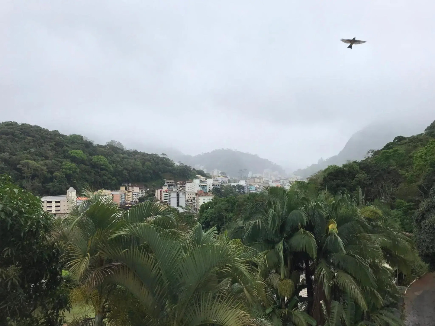 Apartamento Decorado em Domingos Martins