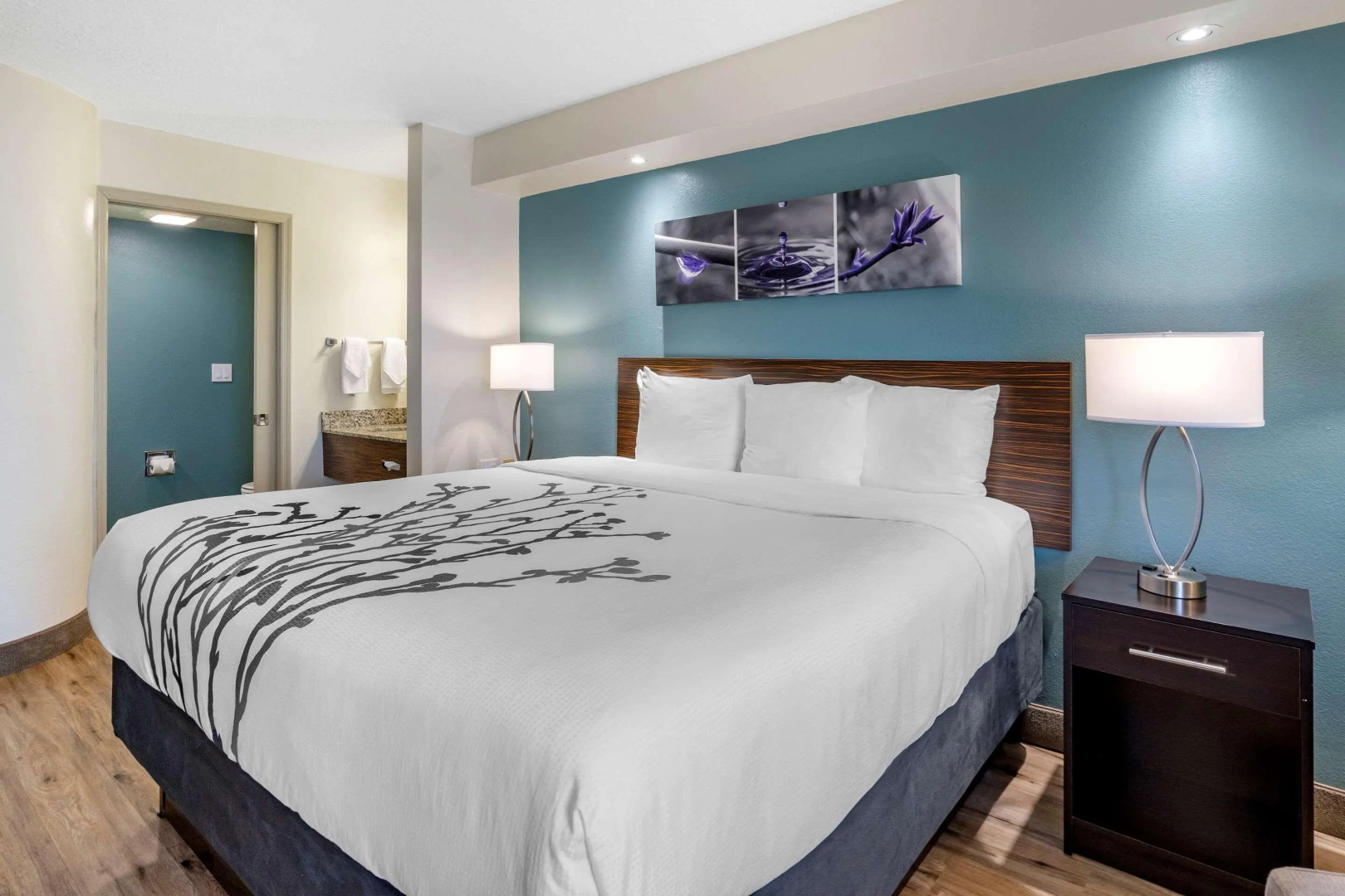 Sleep Inn Clearwater - St Petersburg