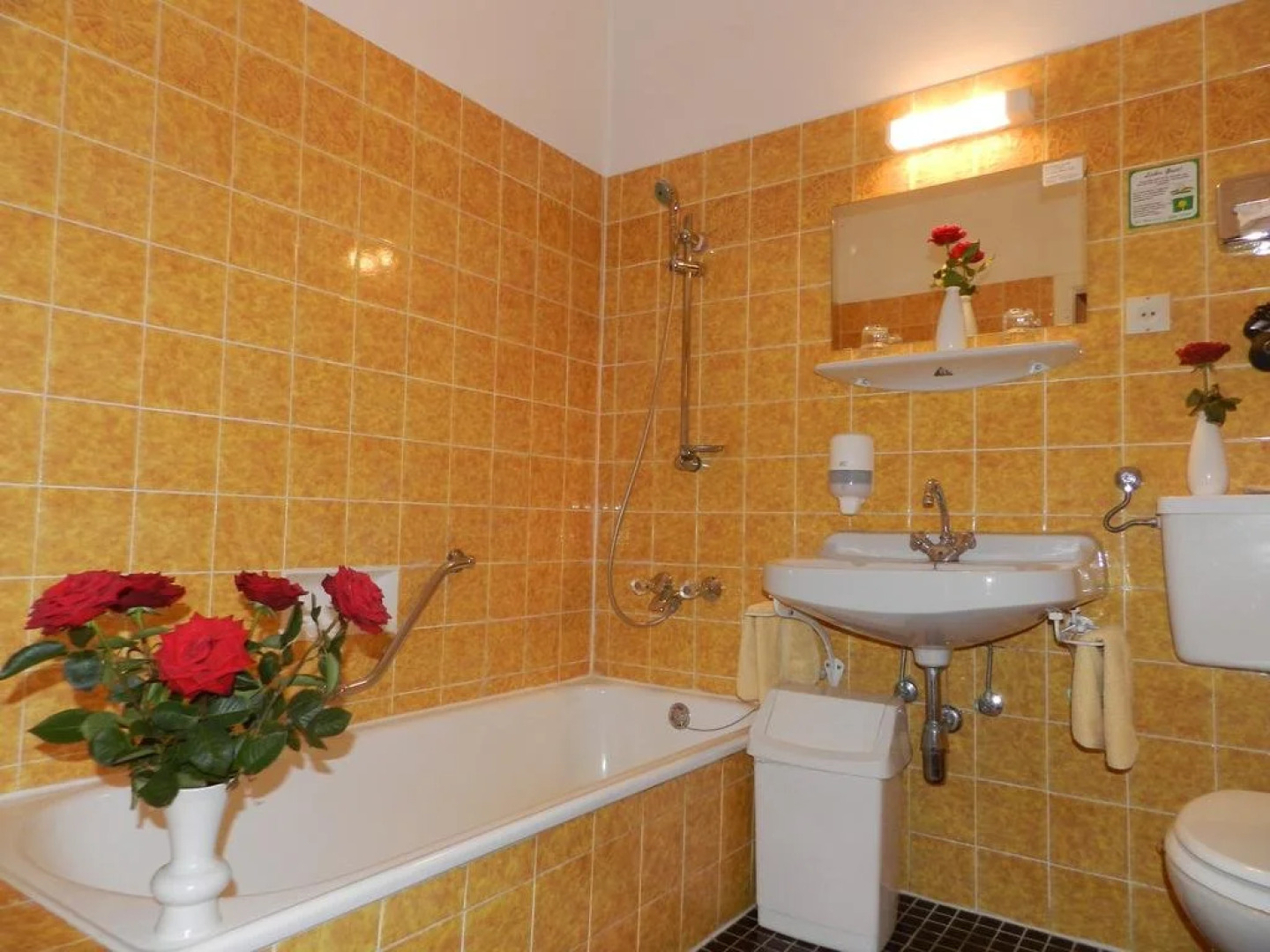 Alpengasthof Schuster