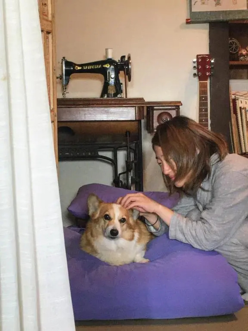 Samurai Guesthouse irodori Kamakura