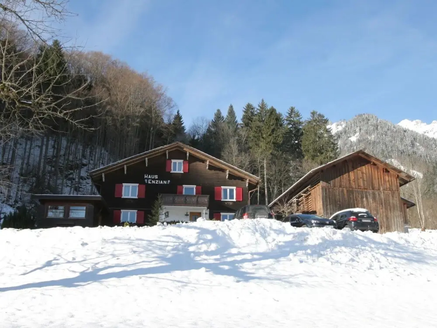 Welcoming Apartment near Ski Area in Vandans