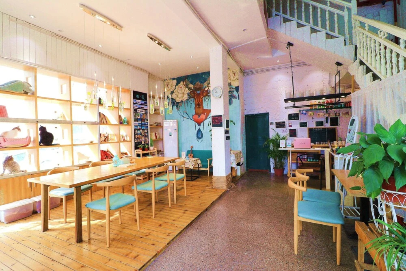 Westland Hostel