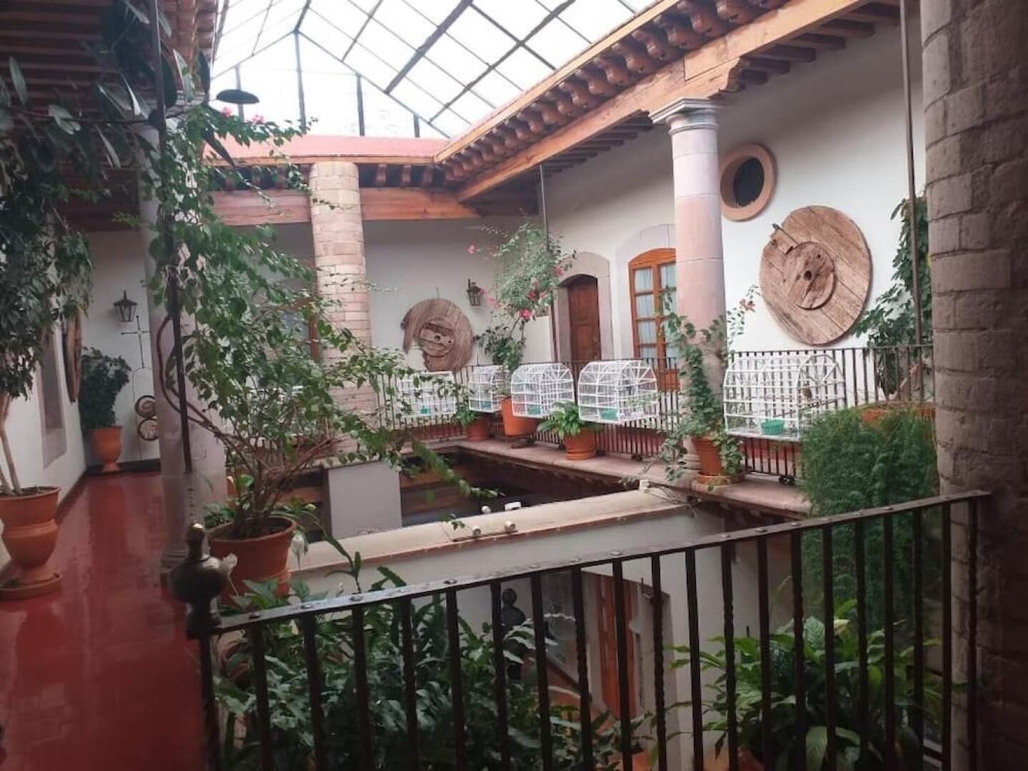 Casa del Pingorongo