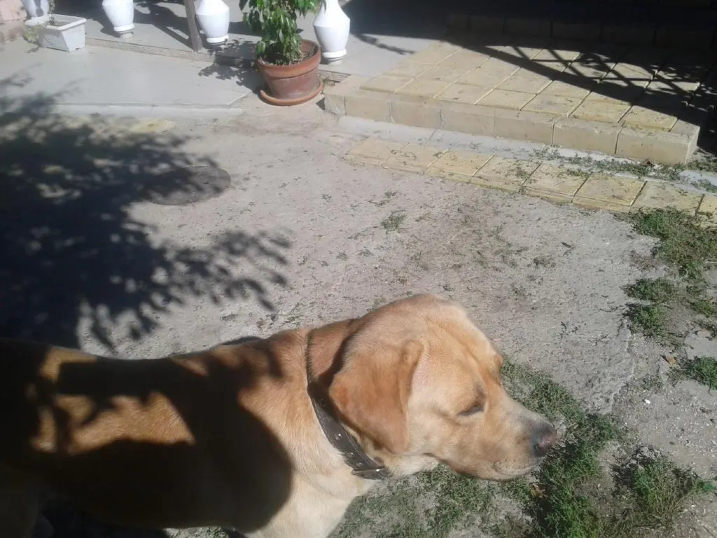 Mini-hotel Yutnii dvorik