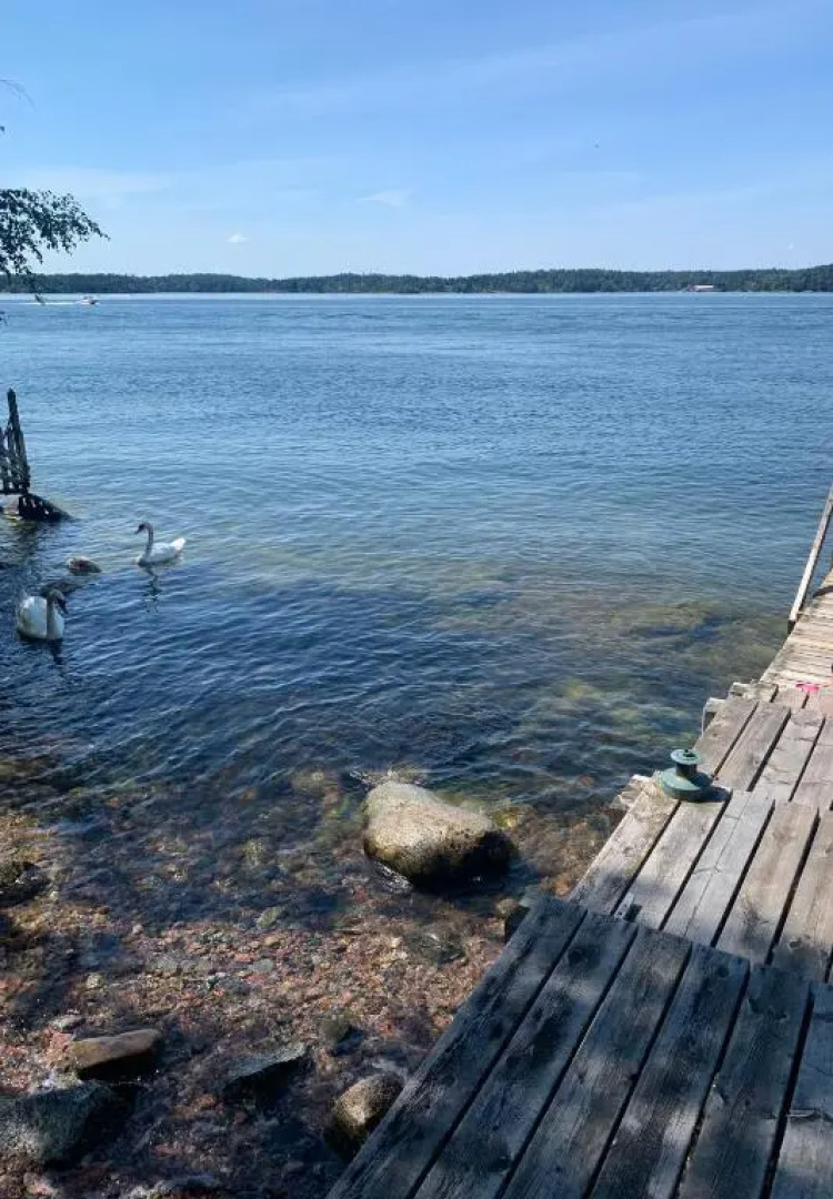Charmig stuga av rustik stil i Stockholms område