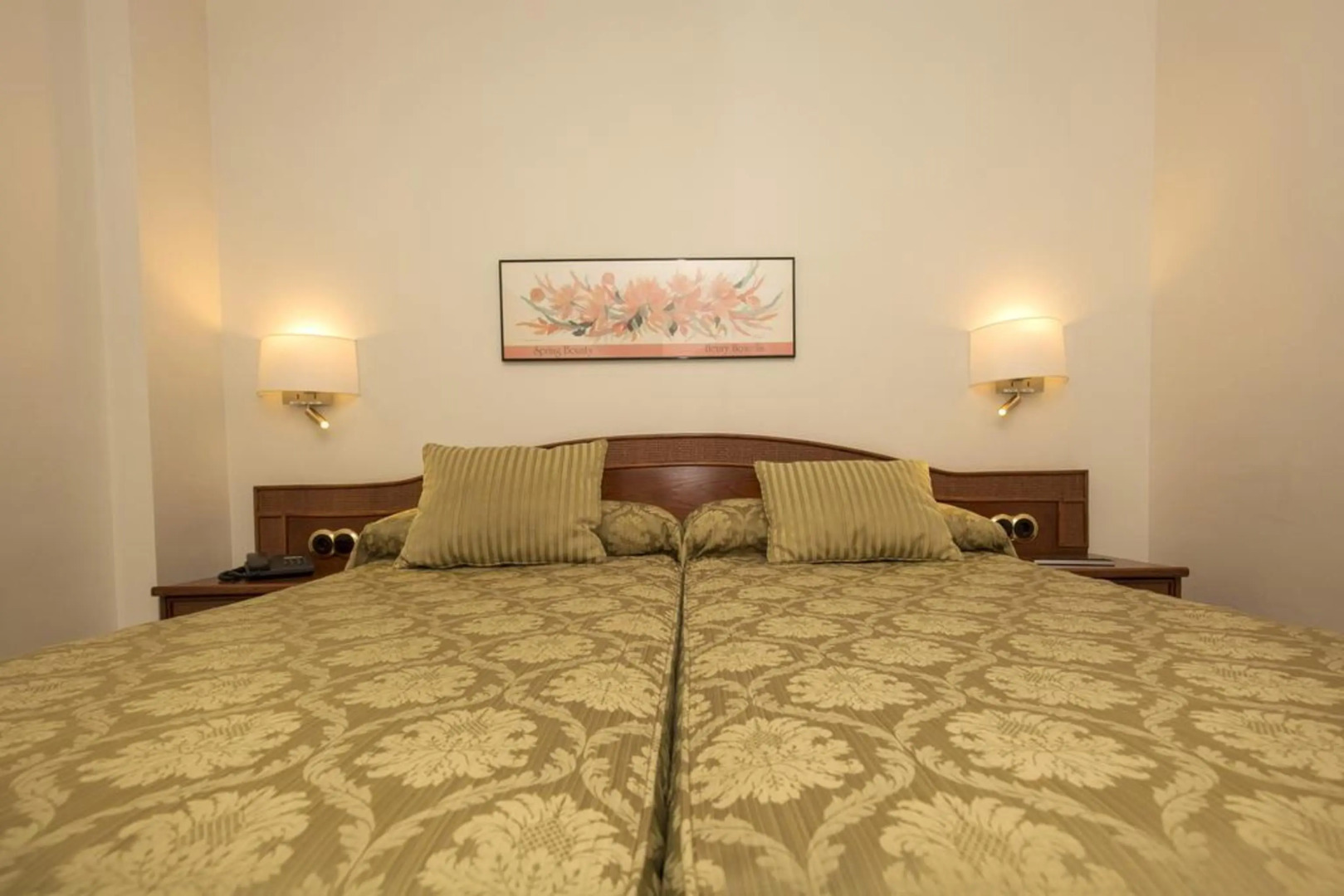 Hotel Cérvol by Nexta