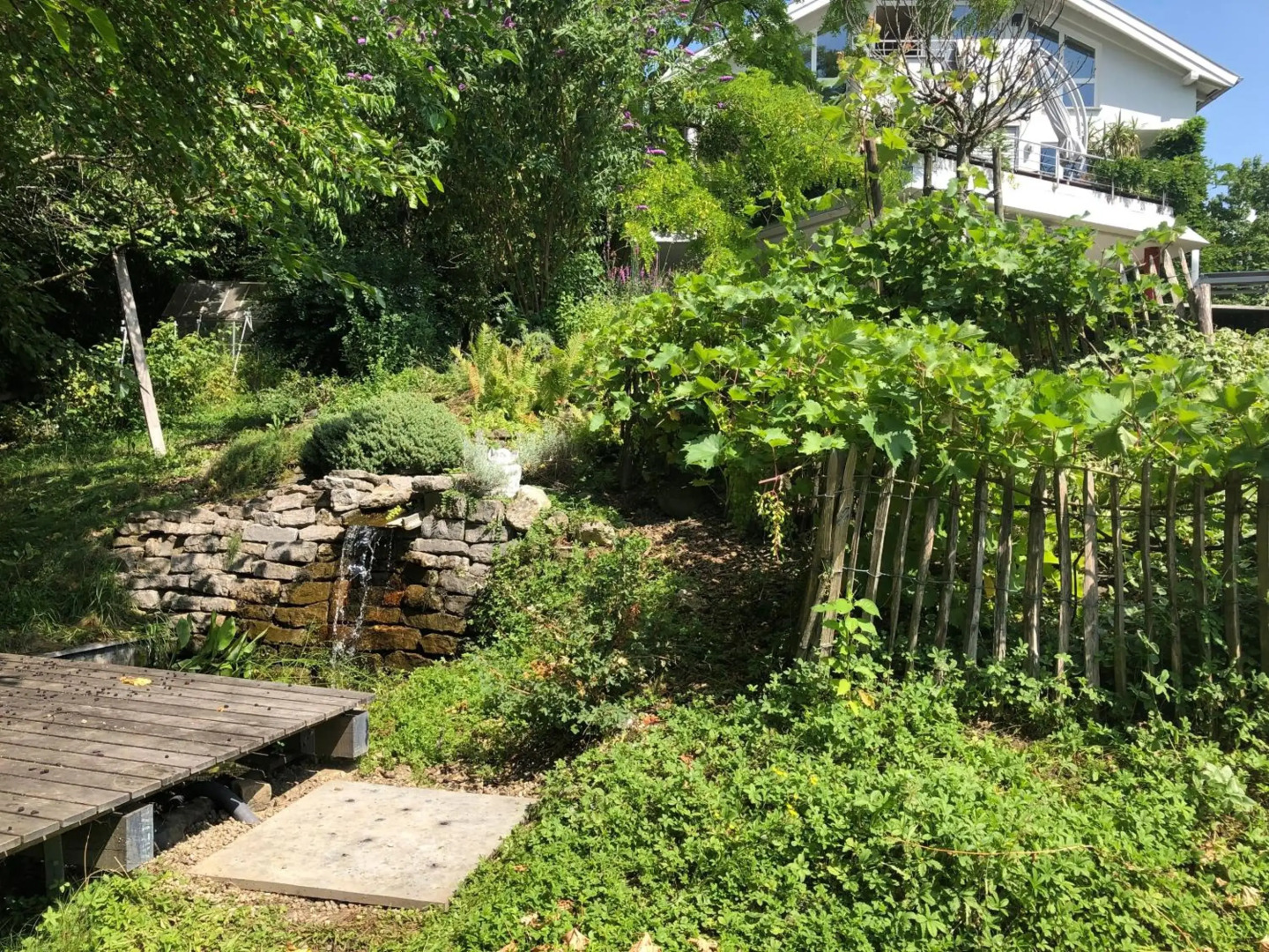 Apartment Green Elephant