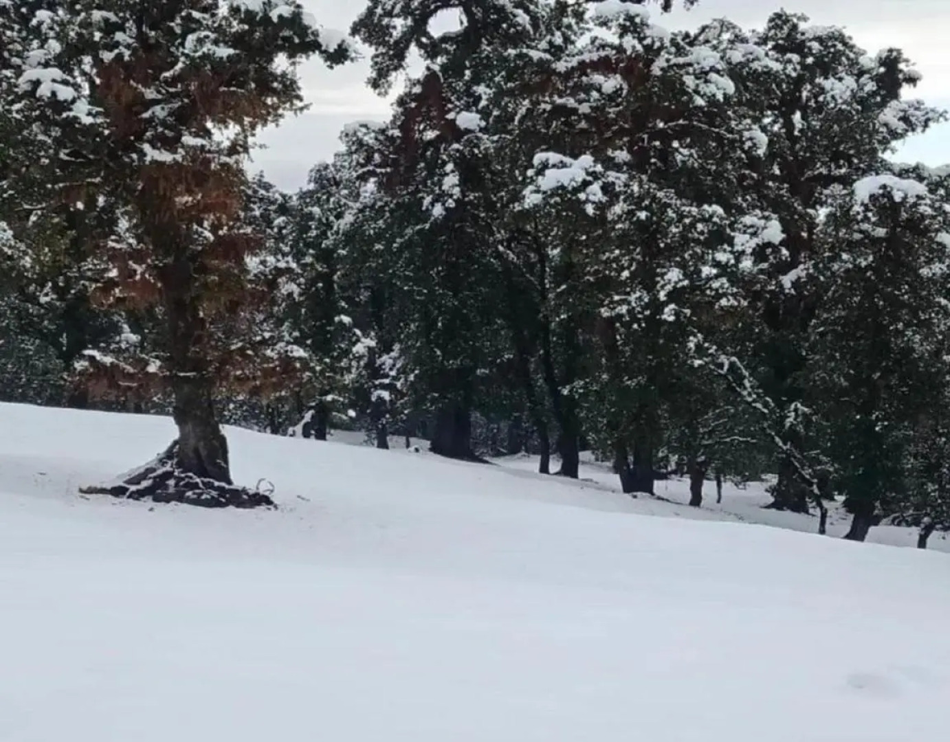 Deoriatal Adventure Camping By Stayapart