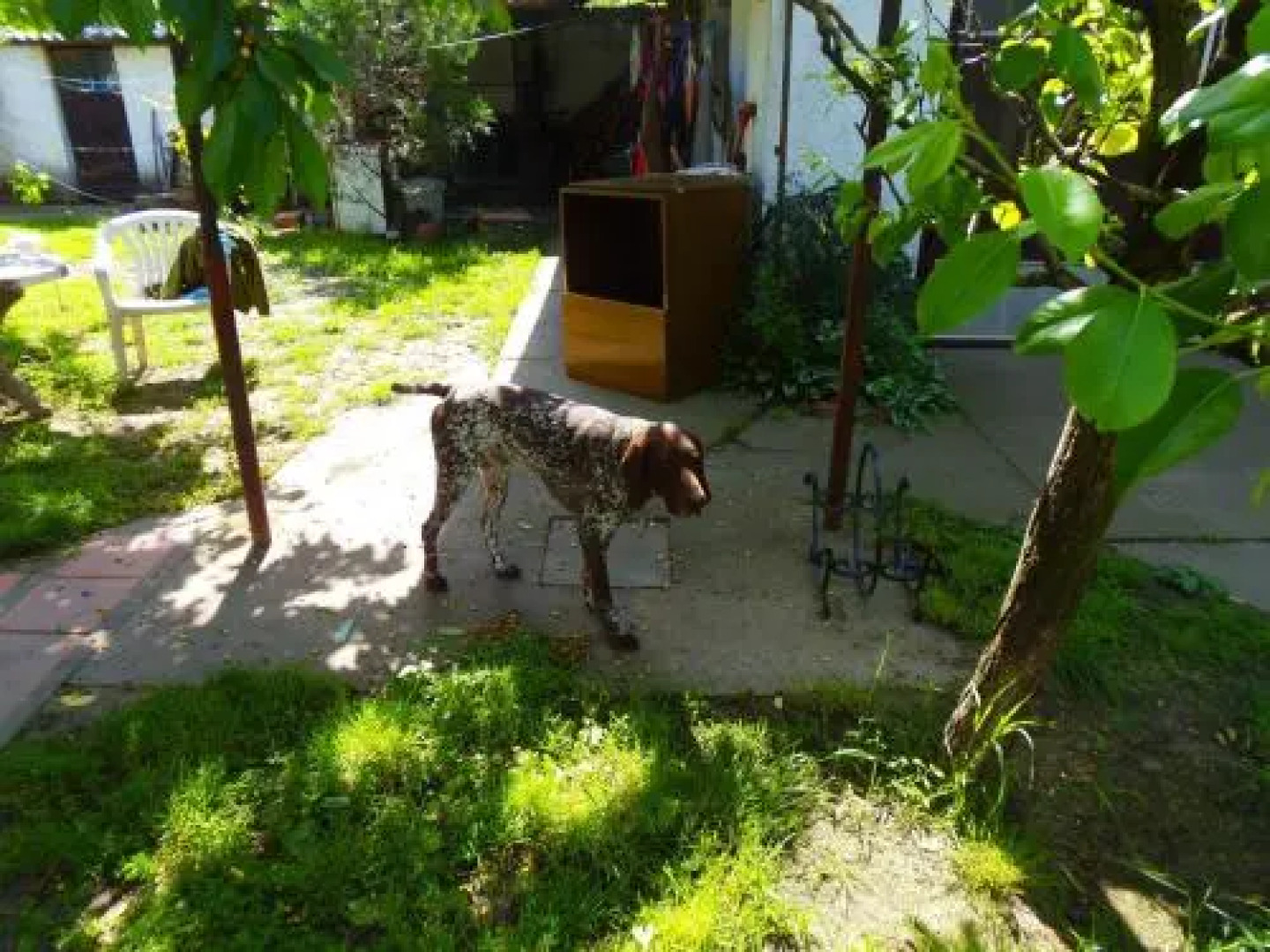 Rooms Top Gun Zrenjanin