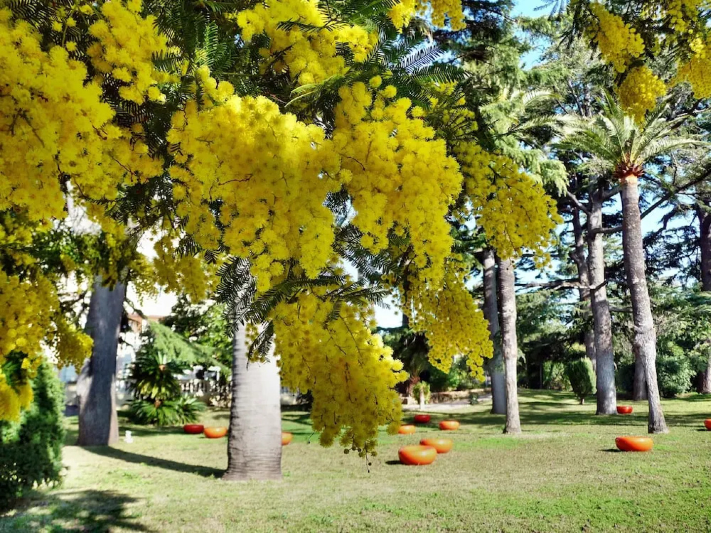 Village de Vacances les Tourelles