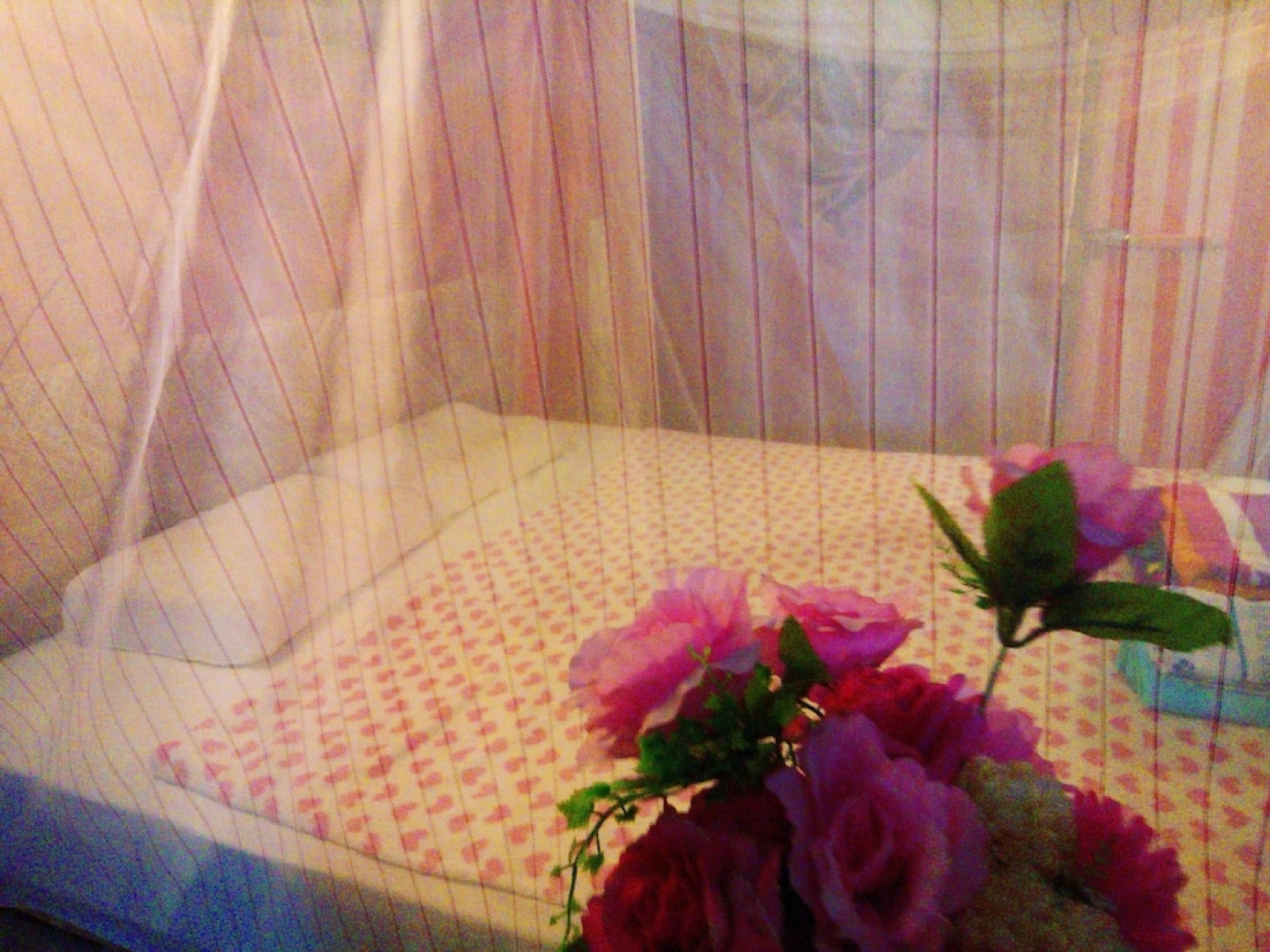 Tiddin Resort & Garden