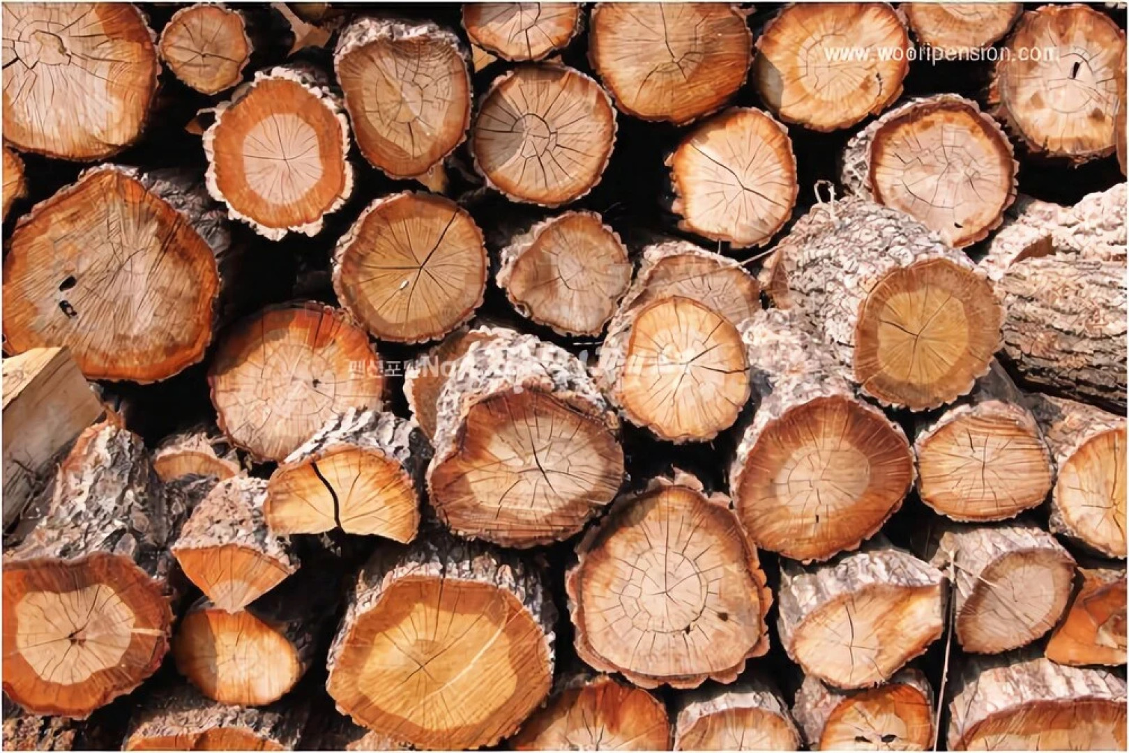 Yangpyeong Gallery C Pension