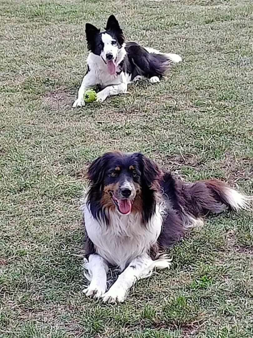 B&B Cascina Sant'Elena