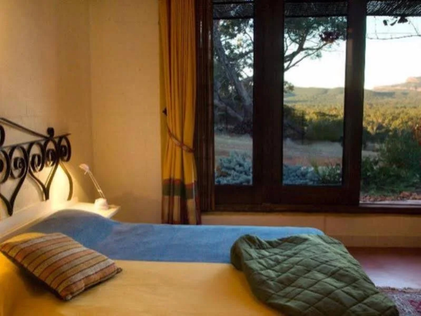 Kangaroos In The Top Paddock