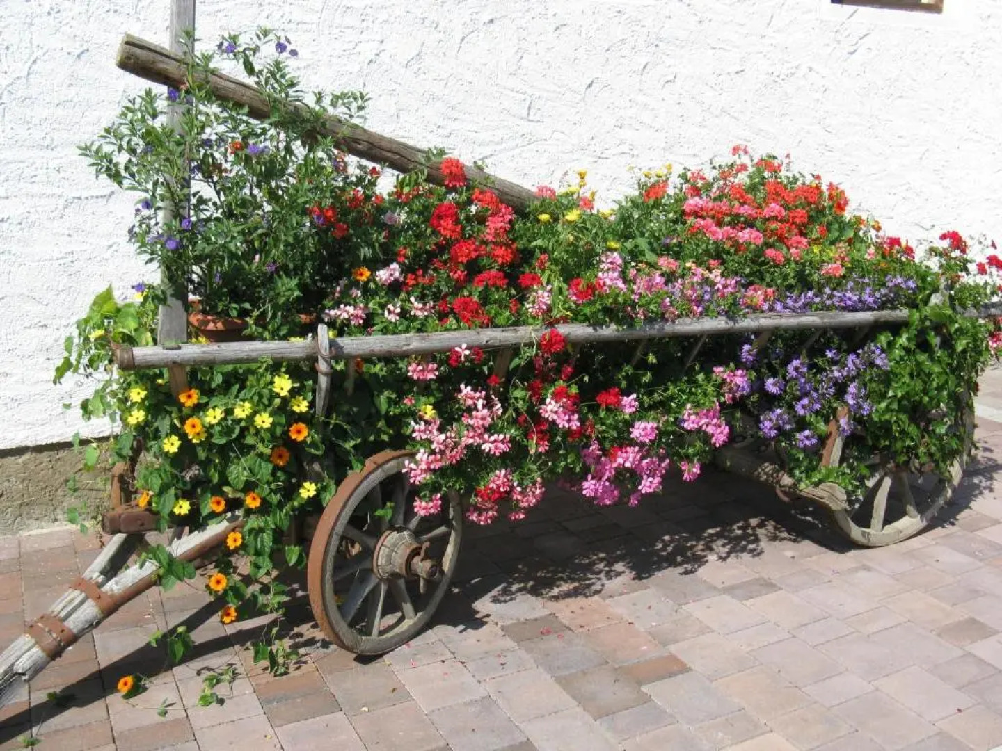 Urlaub am Kräutlhof in Mariapfarr