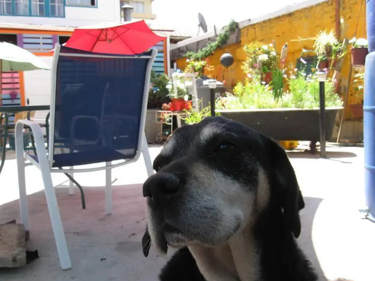 Street Garden Hostel