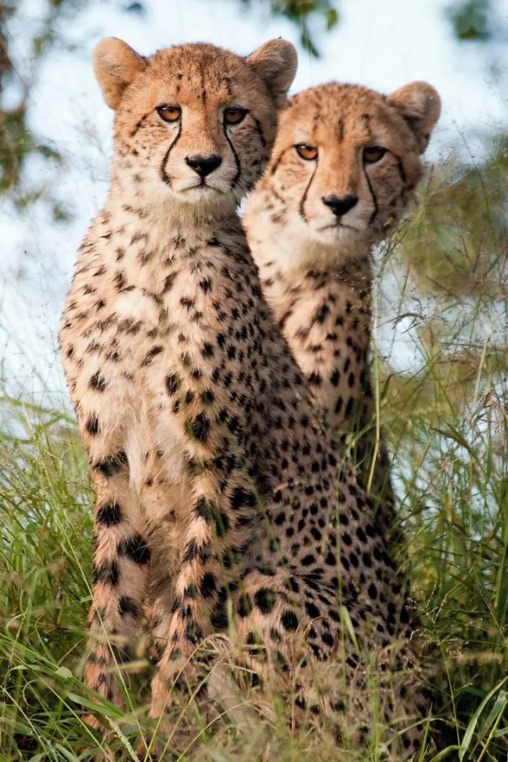 Rhino Post Safari Lodge