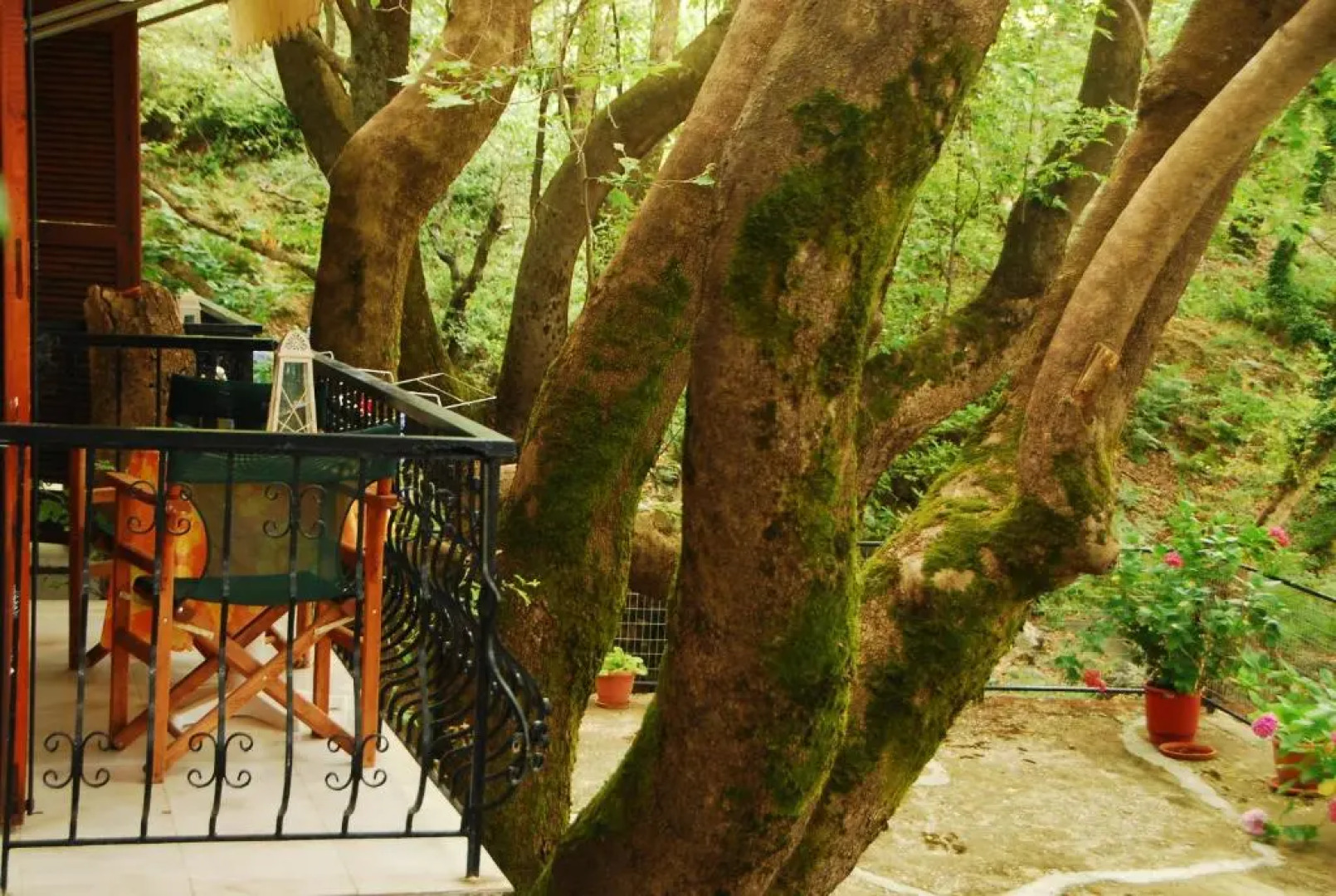 Tasoula Parselia Studios