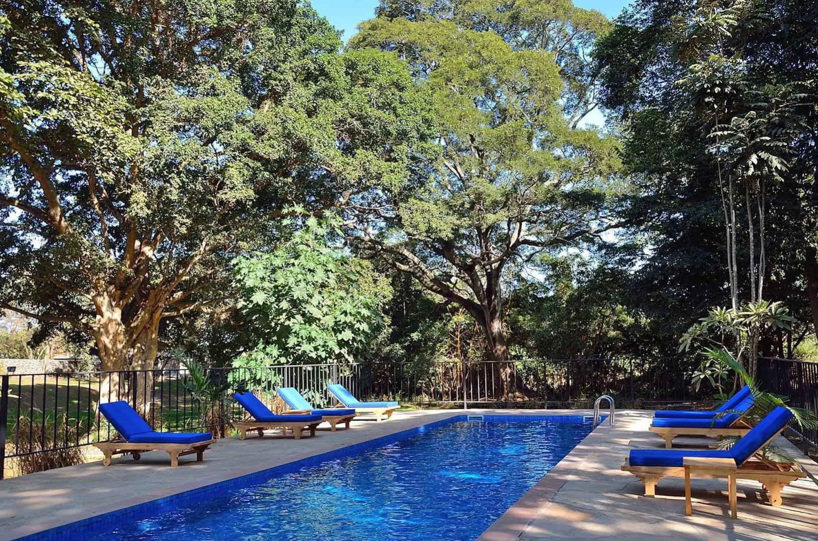 Green Hills of Africa