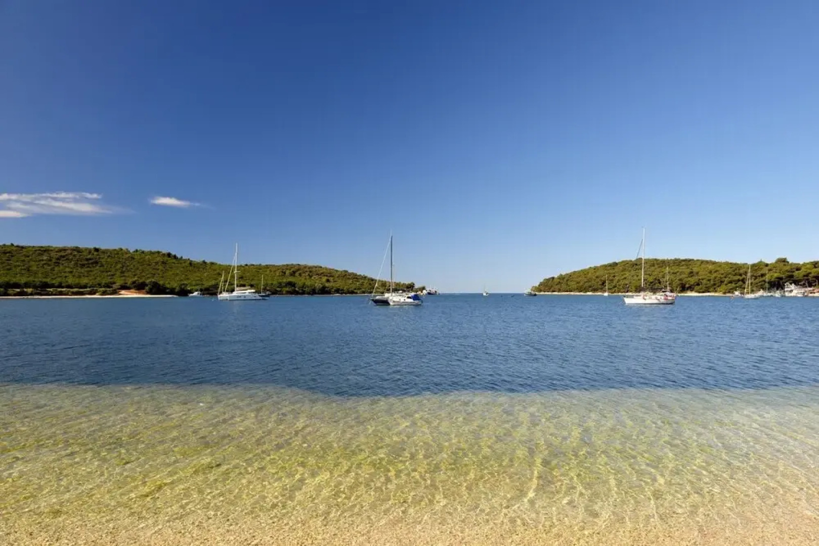 Pool Apartment Suzi 1