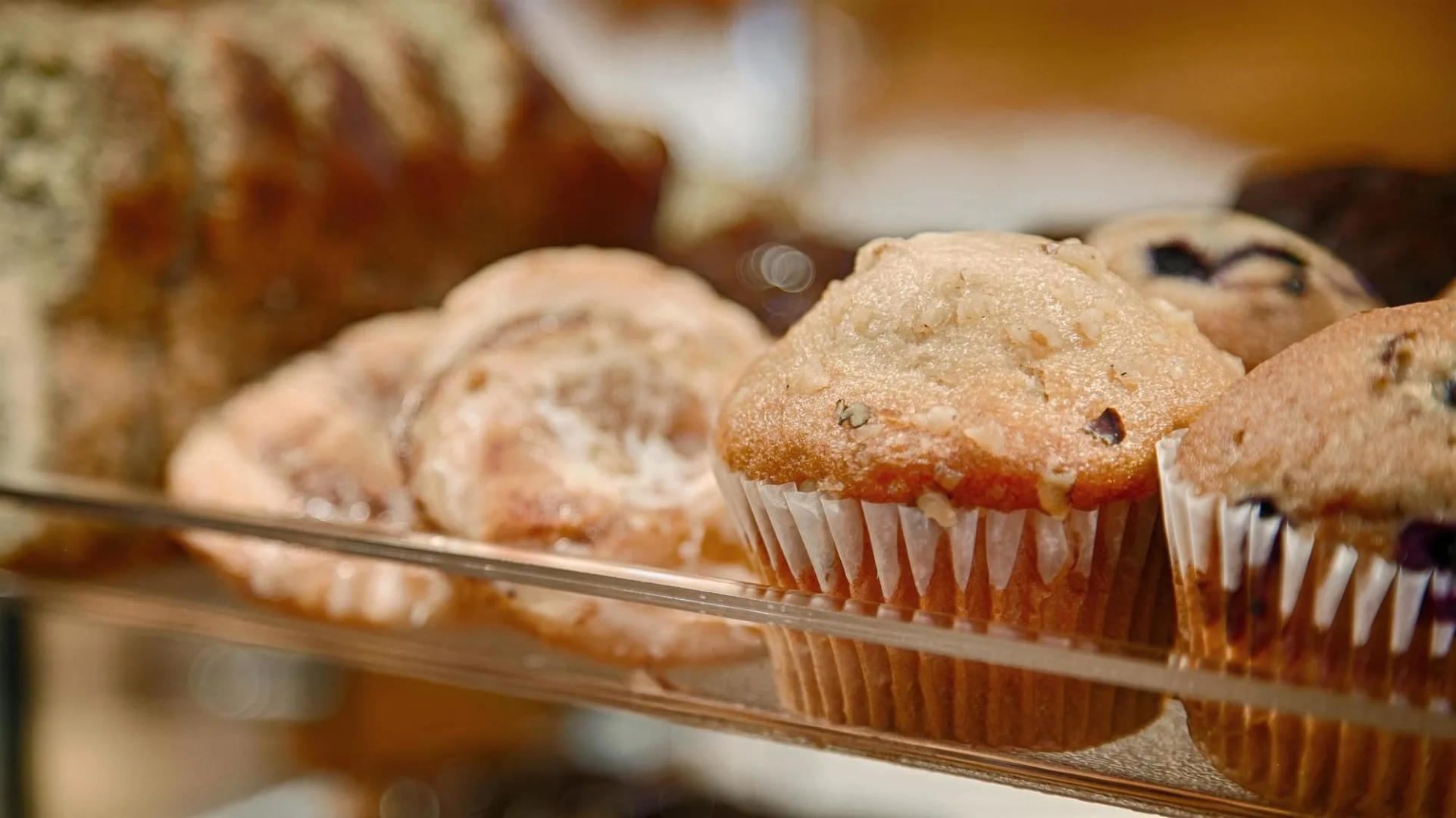 Best Western Plus Kelly Inn & Suites