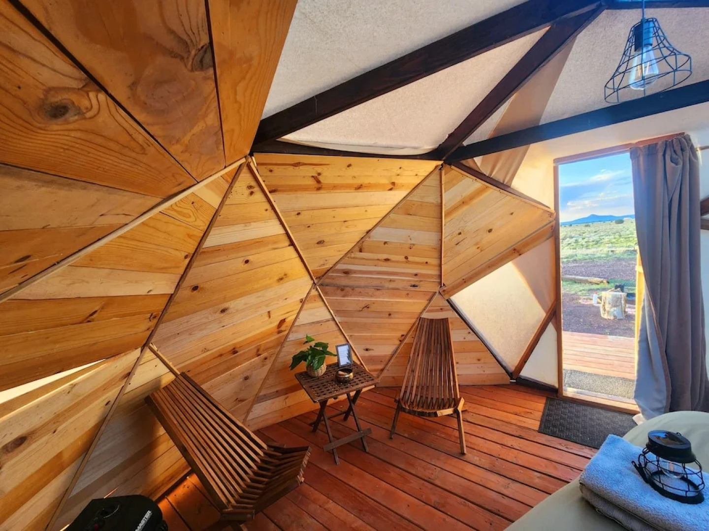 Raptor Ranch Little Owl 1