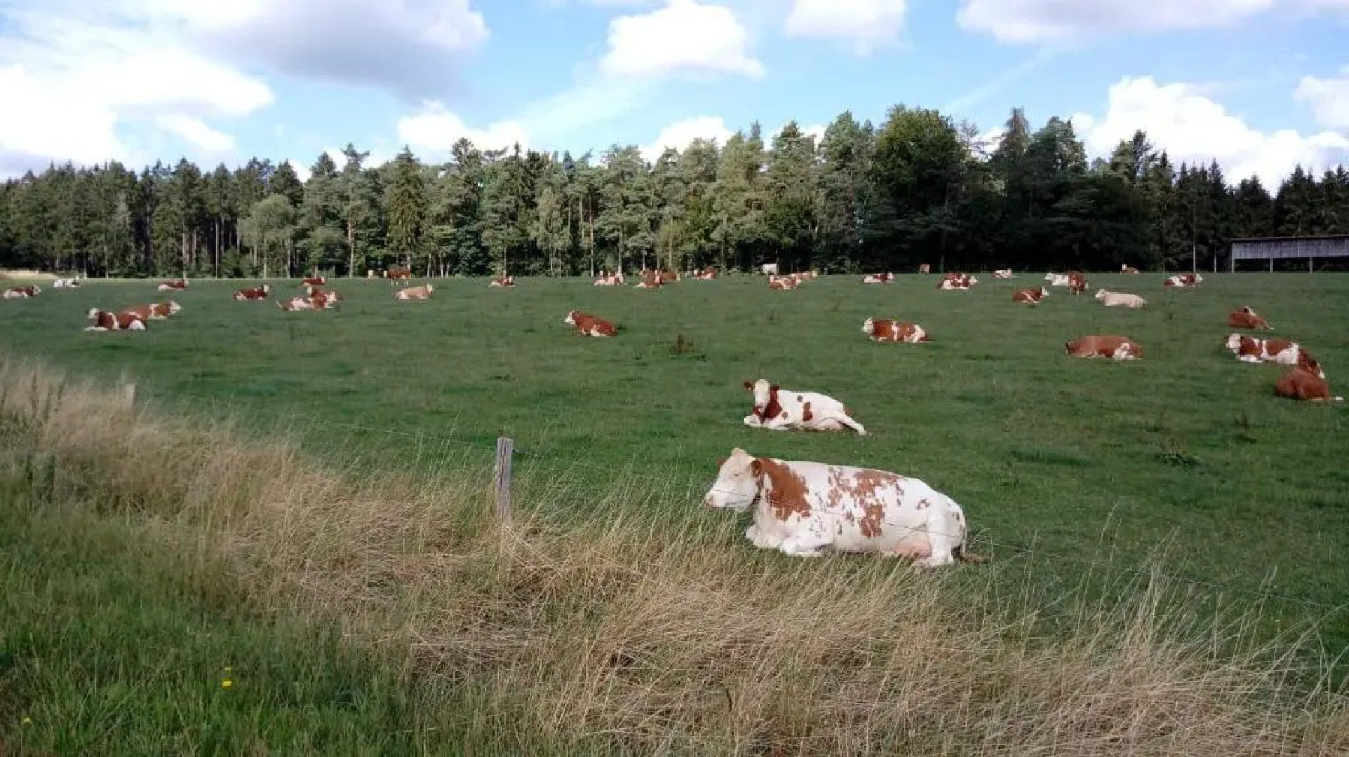 Ferienwohnung Haus Patry