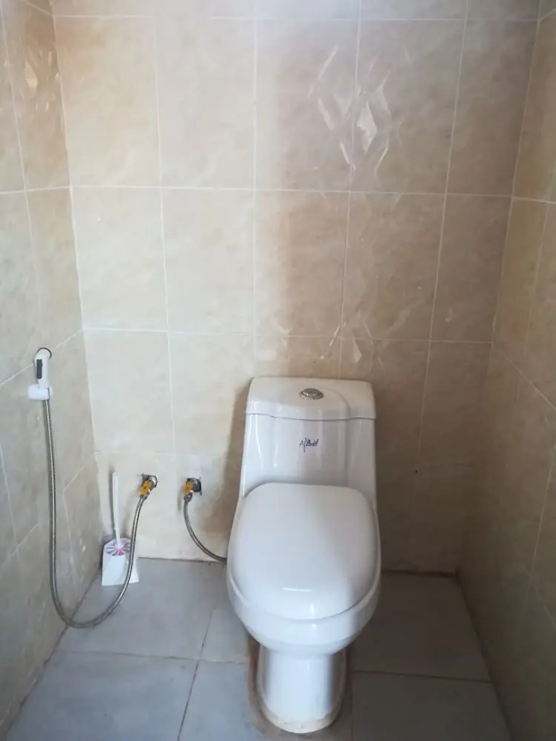 Black Irish Camp and Tours