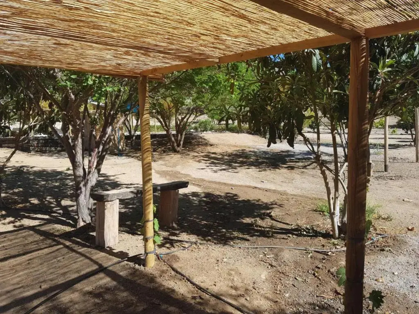 Refugios Pisco Elqui