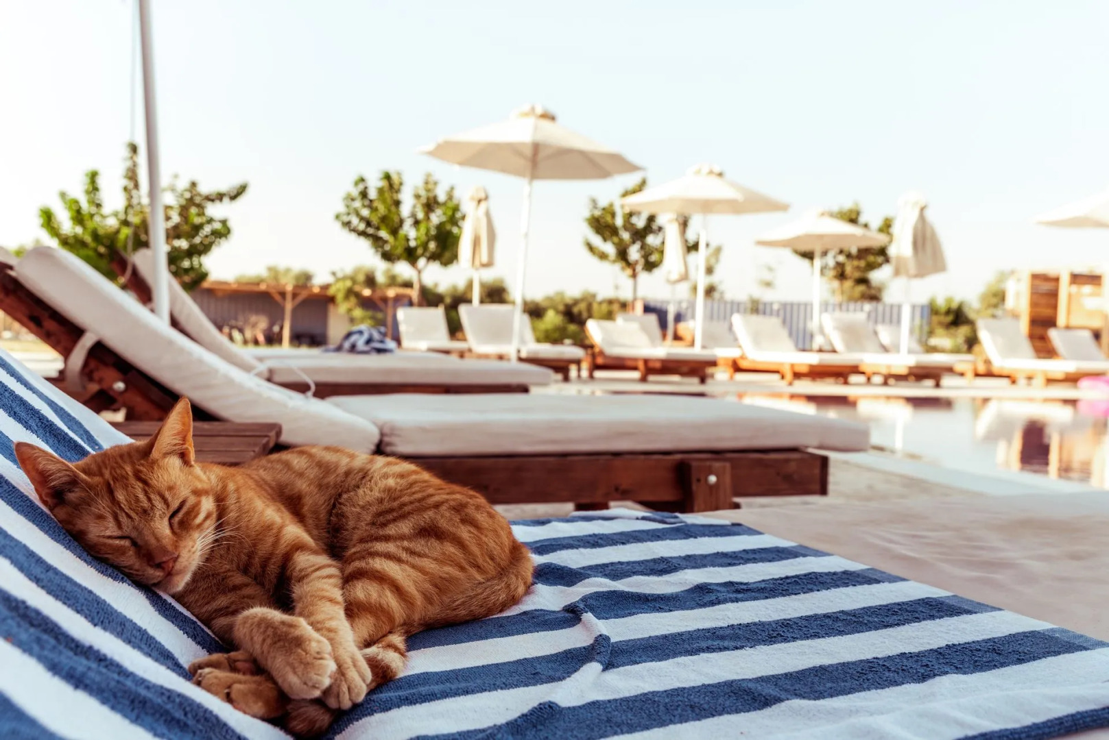 Sails on Kos Ecolux Tented Village