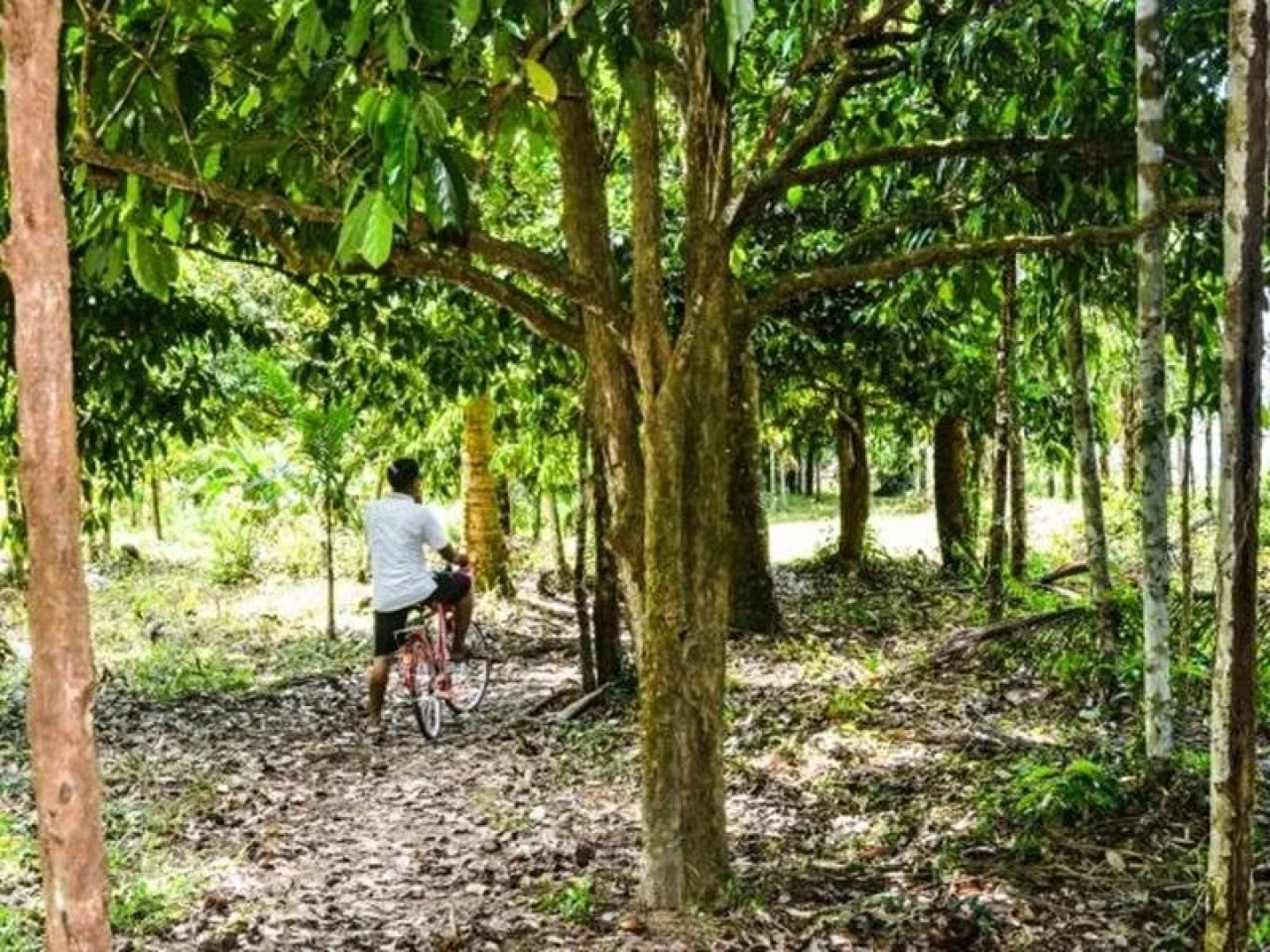 Tatai Hostel Resort