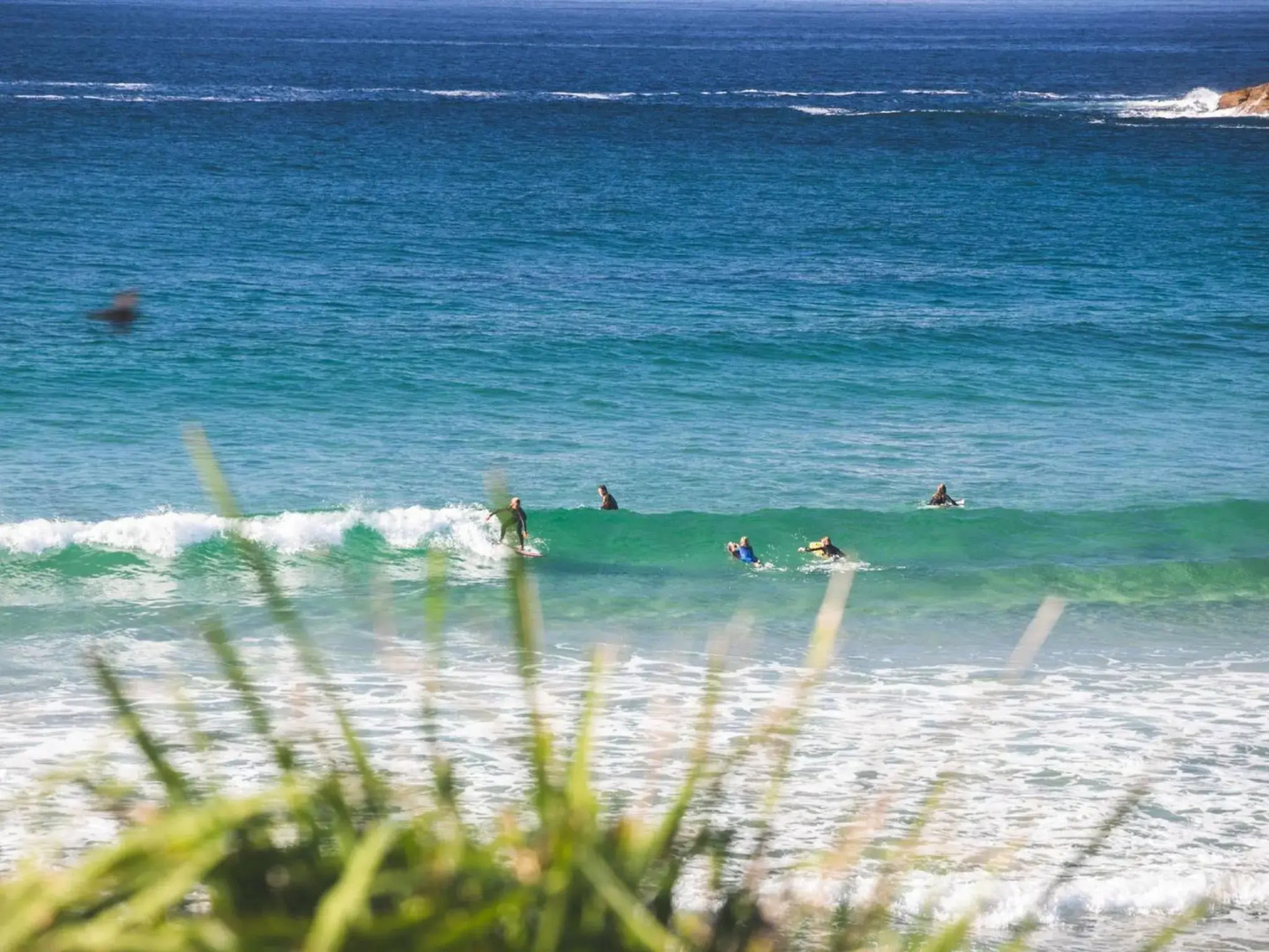 Wooroonga Crescent 9 Kioloa NSW 2539