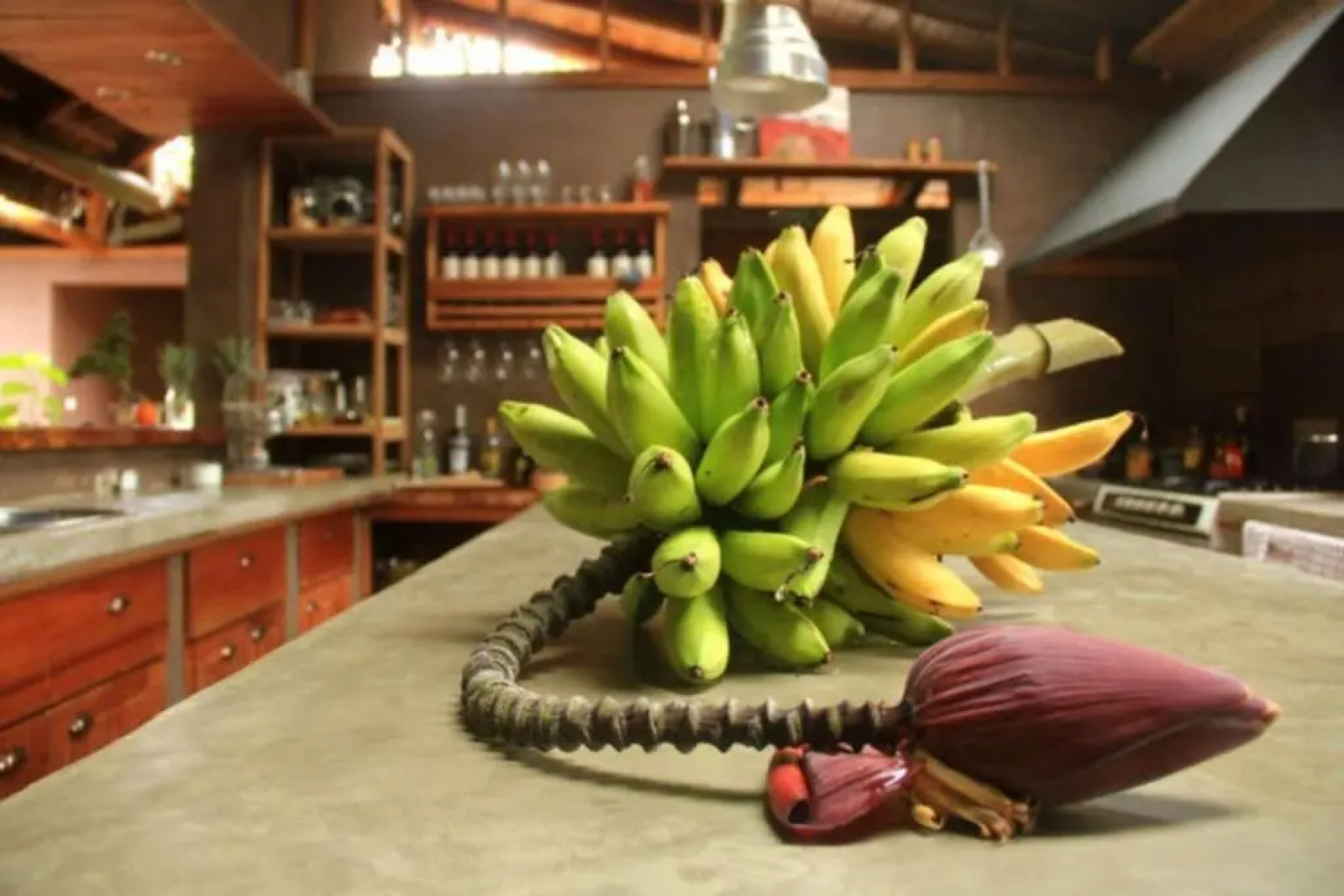 La Bicok Lodge.