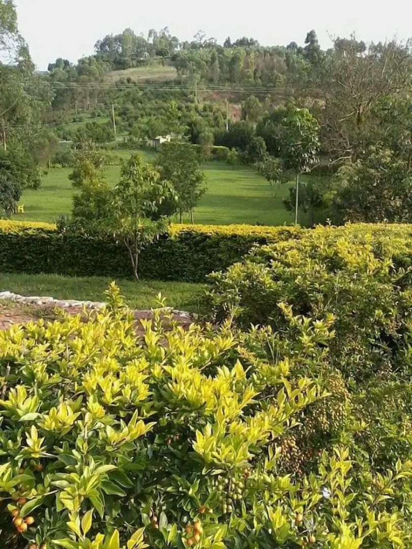 Katabile Country Resort