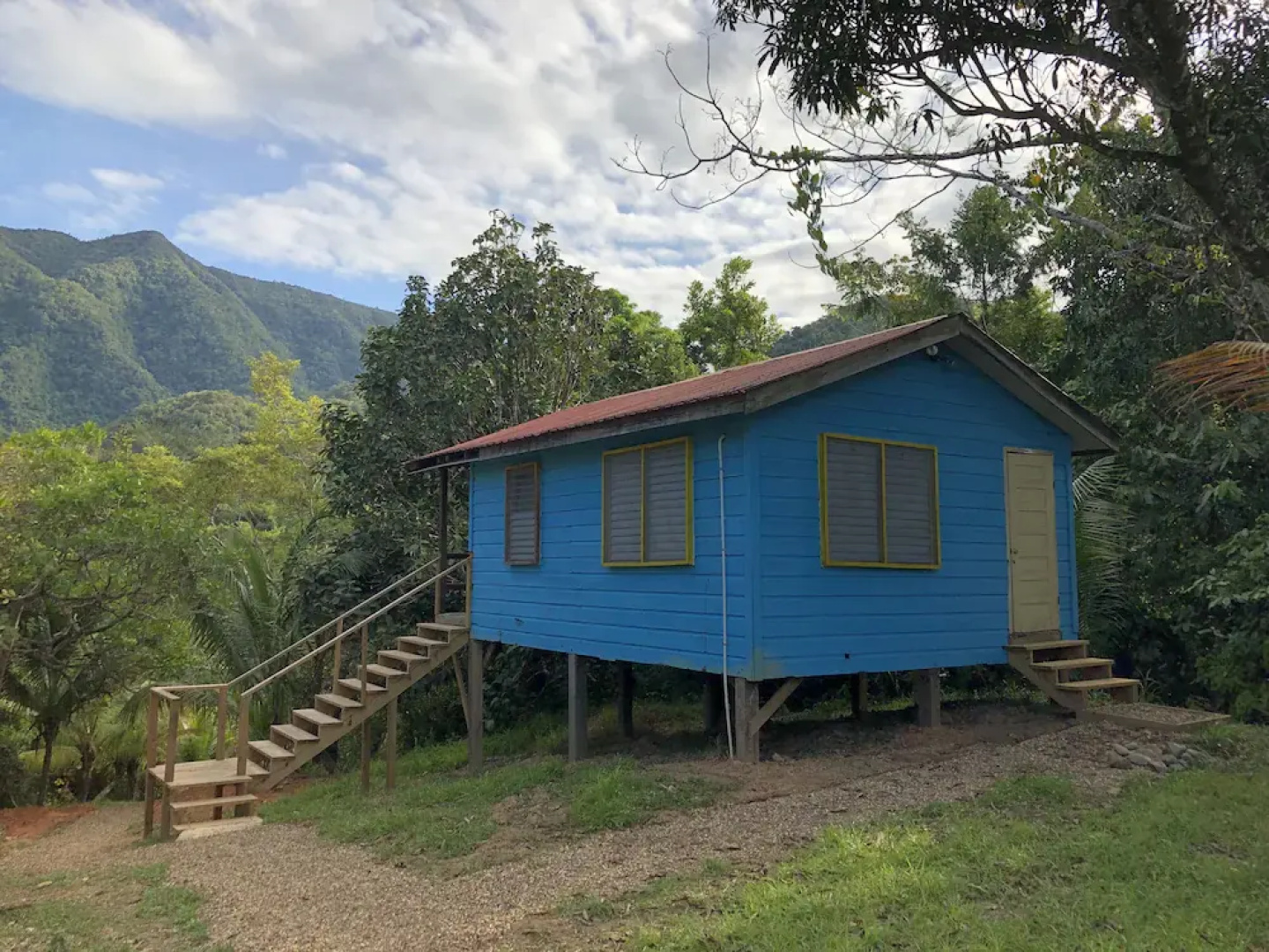 Toucan Ridge Ecology & Education Society T.R.E.E.S.