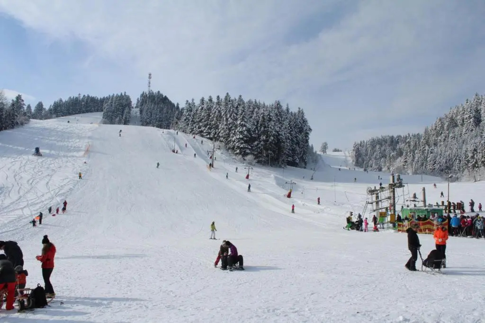 Apartman Tereza Pine wood