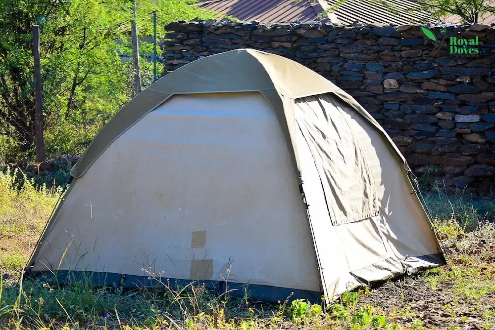 Royal Doves Garden Lake Baringo