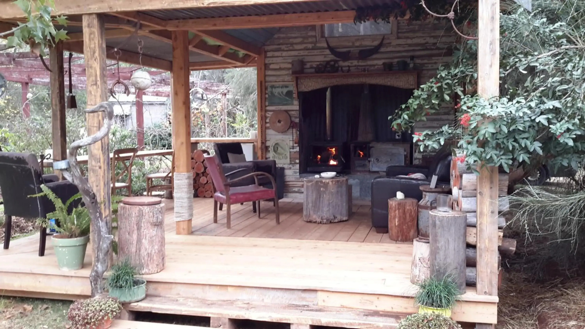 The Laurels of Chinchilla