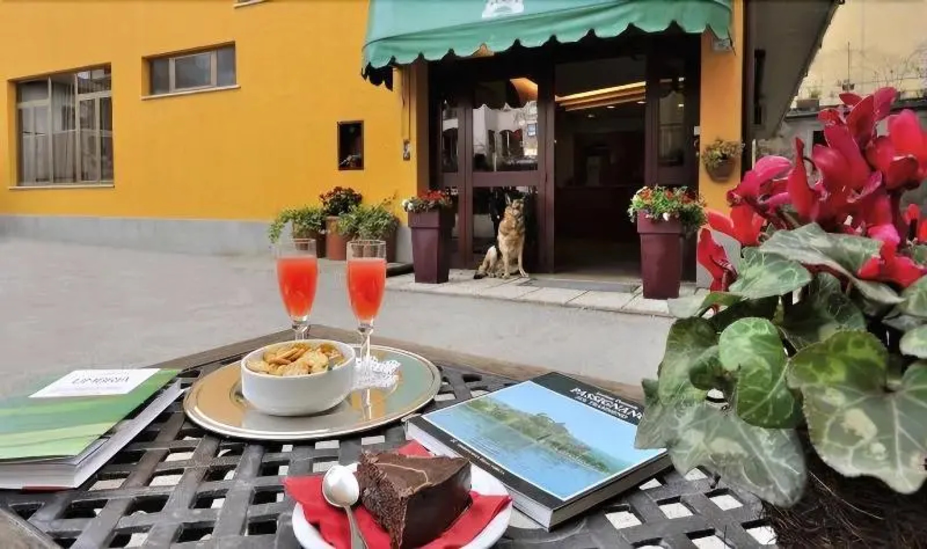 Отель Trasimeno