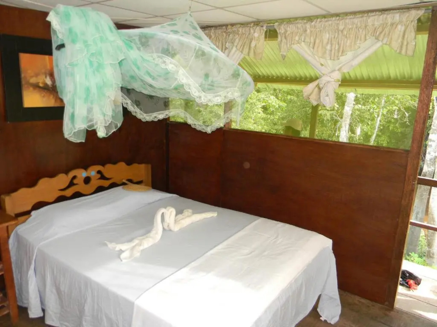 Jacamar Lodge Expedition