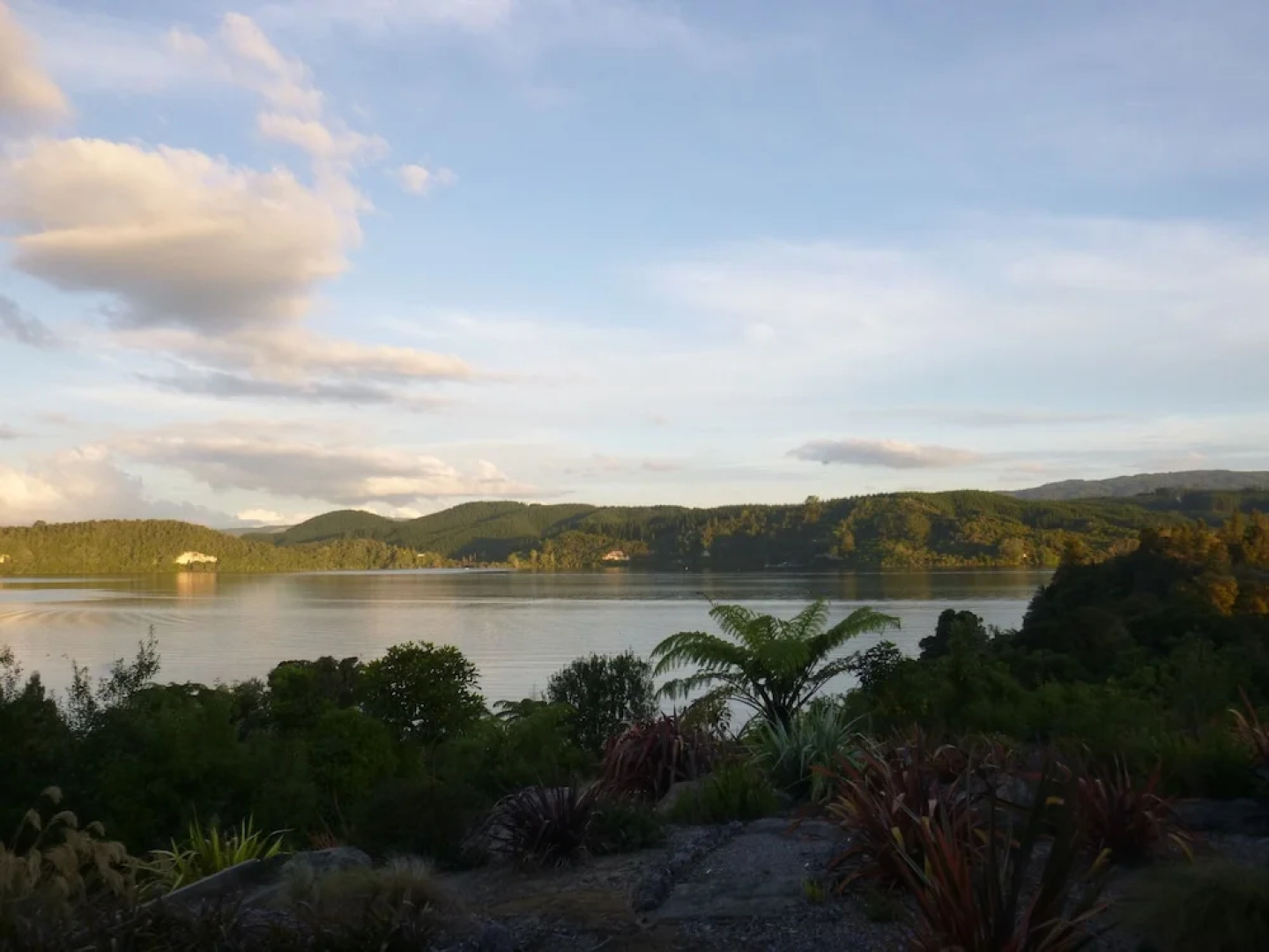 Athena Lakeside